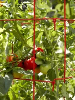 Tomato Cages, Set Of 4 -Garden Care Shop 34182 592