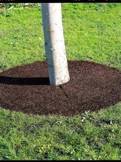 Tree Ring, 36" 7 Tree Ring, 36" -Garden Care Shop 34441 06 tif