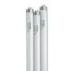 4' SunLite® T-8 Bulbs, Set Of 3 -Garden Care Shop 34745 001ed tif