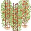 Tomato Ladders, Set Of 3 1 Tomato Ladders, Set Of 3 -Garden Care Shop 38185 001E psd