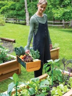 Garden Hods -Garden Care Shop 39 761 0146 tif