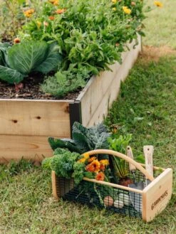 Garden Hods -Garden Care Shop 39 761 572 tif