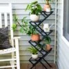 Crisscross Cascading Plant Stand -Garden Care Shop 3 4 crop 8612668 0016 criss cross cascading plant stand