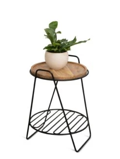 Hairpin Plant Stand With Shelf 6 Hairpin Plant Stand With Shelf -Garden Care Shop 3 4 crop 8612670 2216