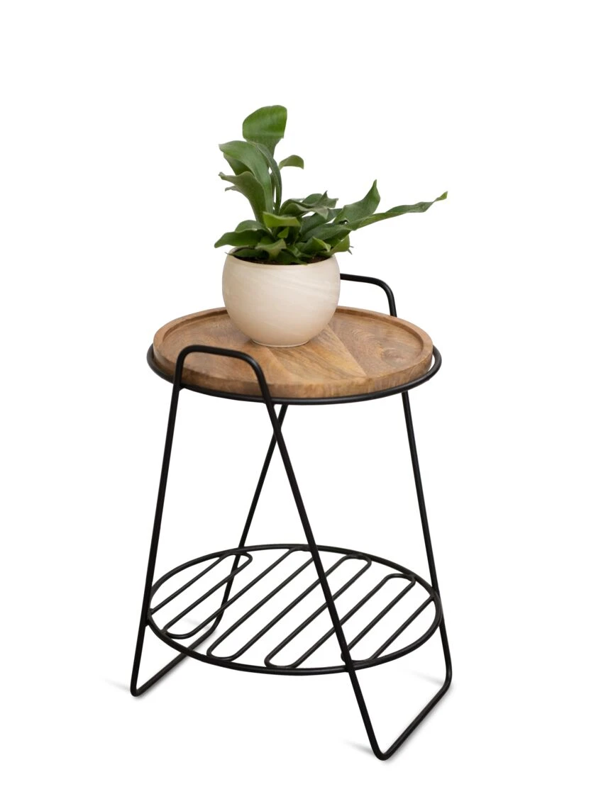 Hairpin Plant Stand With Shelf 4 Hairpin Plant Stand With Shelf - Image 2