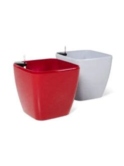 Viva Square Self-Watering Rolling Planter, 20" Diameter, Set Of 2 -Garden Care Shop 3 4 crop 8612930 0104