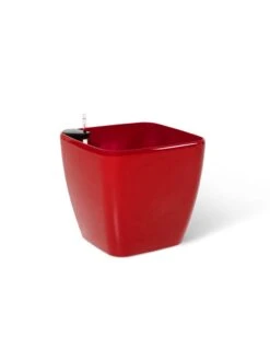 Viva Square Self-Watering Rolling Planter, 20" Diameter, Set Of 2 -Garden Care Shop 3 4 crop 8612930 0105