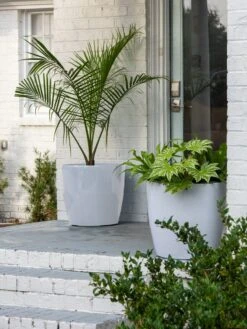 Viva Round Self-Watering Rolling Planter, 20" Diameter, Set Of 2 15 Viva Round Self-Watering Rolling Planter, 20" Diameter, Set Of 2 -Garden Care Shop 3 4 crop 8612933 10023