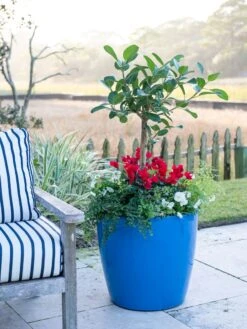 Viva Round Self-Watering Rolling Planter, 20" Diameter, Set Of 2 18 Viva Round Self-Watering Rolling Planter, 20" Diameter, Set Of 2 -Garden Care Shop 3 4 crop 8612933 5312 tif