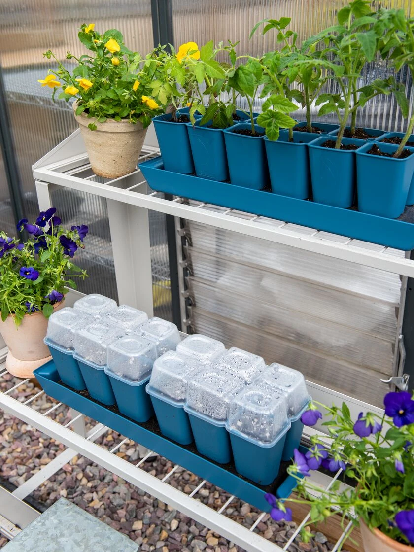 Gardener's Best® Humidity Dome, Set Of 2 4 Gardener's Best® Humidity Dome, Set Of 2 - Image 2