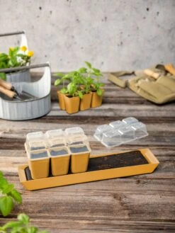 Gardener's Best® Humidity Dome, Set Of 2 8 Gardener's Best® Humidity Dome, Set Of 2 -Garden Care Shop 3 4 crop 8613067 10063