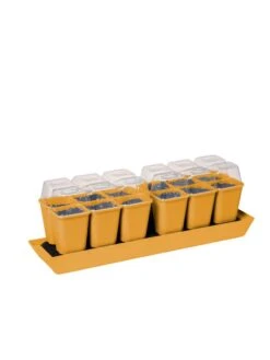 Gardener's Best® Humidity Dome, Set Of 2 9 Gardener's Best® Humidity Dome, Set Of 2 -Garden Care Shop 3 4 crop 8613067 5879 tif