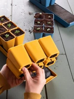 Gardener's Best® XL Seed Starting Kit -Garden Care Shop 40 135 6188