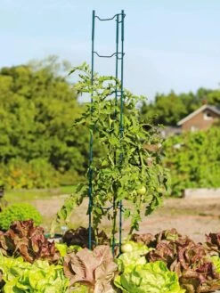 Stacking Tomato Ladders, Set Of 6 9 Stacking Tomato Ladders, Set Of 6 -Garden Care Shop 40309 100 tif