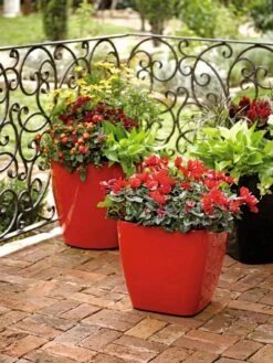 Viva Square Self-Watering Rolling Planter, 14" Diameter -Garden Care Shop 8586699 982 tif