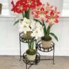 Nesting Triple Pot Stand 1 Nesting Triple Pot Stand -Garden Care Shop 8586747 6012 tif