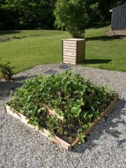 3-Tier Strawberry Bed -Garden Care Shop 8586752 2341 tif