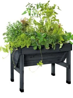 Compact VegTrug® Patio Garden -Garden Care Shop 8586919 001 tif