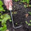 Gardener's Lifetime Cape Cod Weeder, Right-Handed 2 Gardener's Lifetime Cape Cod Weeder, Right-Handed -Garden Care Shop 8586974 2361 tif