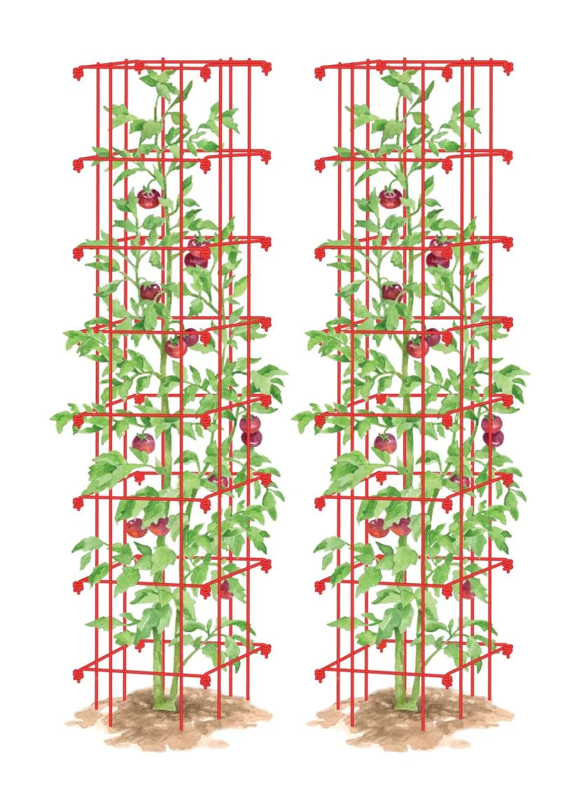 Tomato Towers, Set Of 2 3 Tomato Towers, Set Of 2
