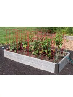 Pepper And Eggplant Cages, Set Of 3 -Garden Care Shop 8587048 6008 3 4