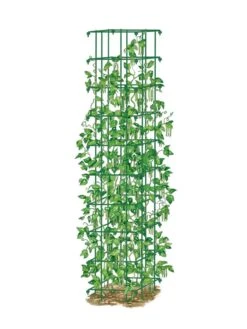 Bean Tower -Garden Care Shop 8587060 0008 GRN tif
