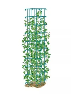 Bean Tower -Garden Care Shop 8587060 BeanTower BLUE