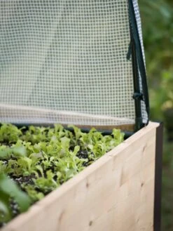 Planter Box, Frame And 2 Covers Kit, 2' X 4' -Garden Care Shop 8587631 265 tif 1