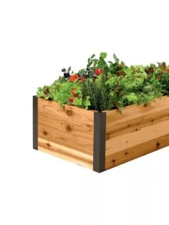 Deep Root Raised Beds, 14" Deep 2' Wide 9 Deep Root Raised Beds, 14" Deep 2' Wide -Garden Care Shop 8587798 001E 1