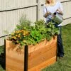 Elevated Raised Bed, 2' X 4' -Garden Care Shop 8587822 675 tif