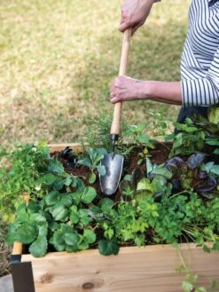 Gardener's Lifetime Raised Bed Trowel 7 Gardener's Lifetime Raised Bed Trowel -Garden Care Shop 8588014 4084 tif