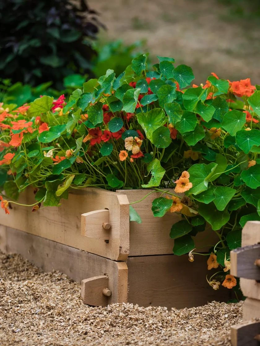 Farmstead Cedar Raised Garden Beds, 4' 3 Farmstead Cedar Raised Garden Beds, 4'