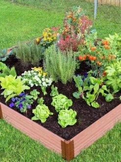 Composite Raised Bed With 1" Boards, 11" -Garden Care Shop 8588274 03V tif