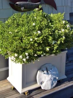 Fairfield Self-Watering Patio Planters, 20” X 36” -Garden Care Shop 8588417 208V tif