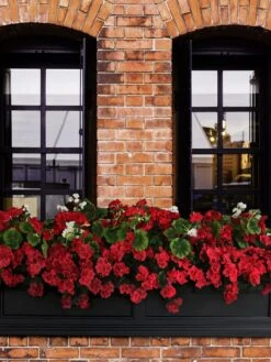 Fairfield Self-Watering Window Box, 5’ 14 Fairfield Self-Watering Window Box, 5’ -Garden Care Shop 8588938 102V tif