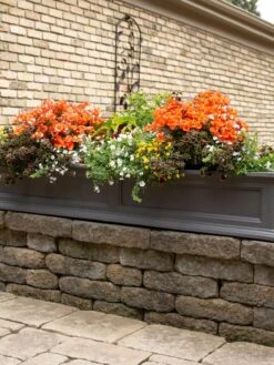 Fairfield Self-Watering Window Box, 5’ 15 Fairfield Self-Watering Window Box, 5’ -Garden Care Shop 8588938 105V tif