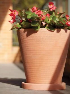 Universal Round Planter Saucers -Garden Care Shop 8589526 001V tif