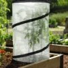 Pop-Up Tomato Accelerator 1 Pop-Up Tomato Accelerator -Garden Care Shop 8589749 4171 pop up tomato plant protector and accelerator tif
