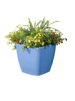 Viva Square Self-Watering Rolling Planter, 14" Diameter -Garden Care Shop 8589777BL 6080 tif