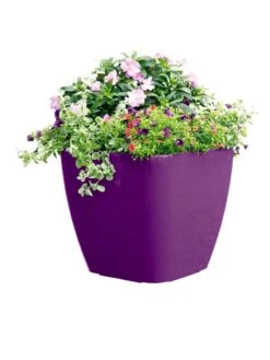 Viva Square Self-Watering Rolling Planter, 17.5" Diameter 9 Viva Square Self-Watering Rolling Planter, 17.5" Diameter -Garden Care Shop 8589778PR 6126 tif