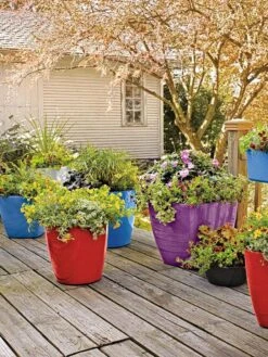 Viva Square Self-Watering Rolling Planter, 17.5" Diameter 8 Viva Square Self-Watering Rolling Planter, 17.5" Diameter -Garden Care Shop 8589778 09000 tif