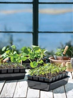 Growease Seed Starter Kit -Garden Care Shop 8589987 7871 tif