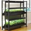 2-Tier SunLite® Garden -Garden Care Shop 8590049 2489 grow lights with two shelves large tif