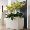 Lechuza® Cararo Rectangular Indoor Planter With Casters 1 Lechuza® Cararo Rectangular Indoor Planter With Casters -Garden Care Shop 8590295 02v lechuza cararo rectangular indoor planter with casters