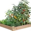 Cedar Raised Garden Bed, 4' X 4' X 6" -Garden Care Shop 8591724 01V tif