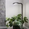 Agrobrite Floor Plant Lamp 1 Agrobrite Floor Plant Lamp -Garden Care Shop 8592053 0215 tif
