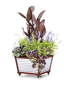 Galvanized Self-Watering Planters -Garden Care Shop 8592176 5067 tif