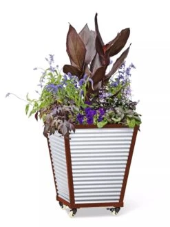 Galvanized Self-Watering Planters -Garden Care Shop 8592177 5066 tif