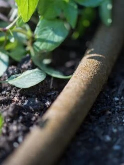 Premium 1/2" Soaker Hose -Garden Care Shop 8592730 4933 tif