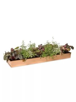 Rectangular Copper Plant Tray, 24" X 5" -Garden Care Shop 8593533 2878 tif